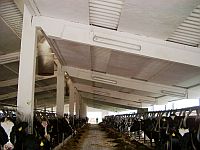 Stall innen nach der Weissung